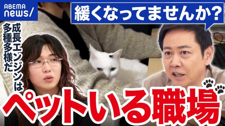 【職場にペット】求人10倍の企業も…癒し？集中できる？動物と働くメリットは｜アベプラ