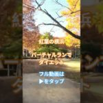 バーチャルランでダイエット 紅葉の横浜 20分ジョグ 有酸素運動で脂肪燃焼 ジム ランニングマシン トレッドミル用動画 走って痩せよう 減量用