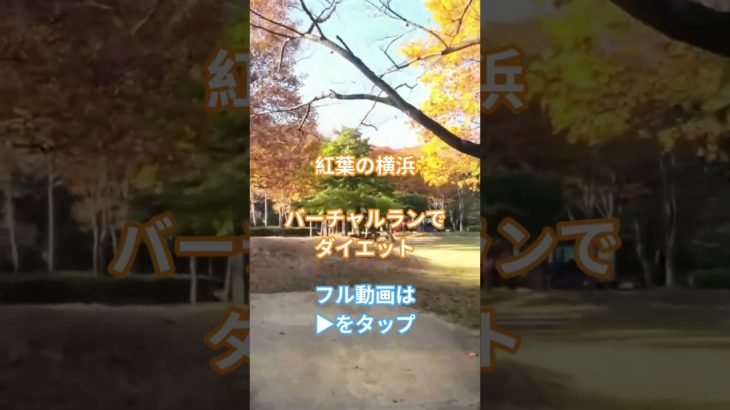 バーチャルランでダイエット 紅葉の横浜 20分ジョグ 有酸素運動で脂肪燃焼 ジム ランニングマシン トレッドミル用動画 走って痩せよう 減量用