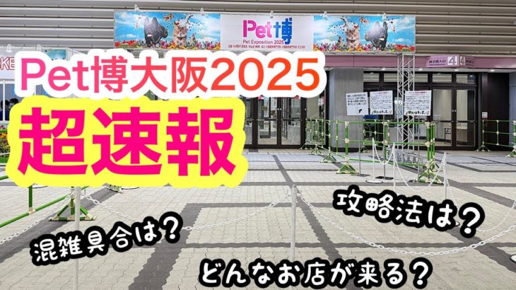 ペット博大阪2025 超速報‼️