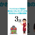 ペットショップ店員が教える！“少しマニアックな犬のかわいい行動の意味”3選