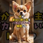 犬が飼い主をバカにする瞬間5選！　#ペット #犬  #雑学