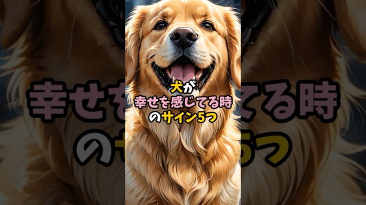 犬が幸せを感じてる時のサイン5つ　 #ペット#犬 #雑学