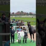 アレクシス・プーシャン騎手 6勝目 フルミネブル メイクデビュー東京 2歳新馬 ダ1600m アメリカ産馬