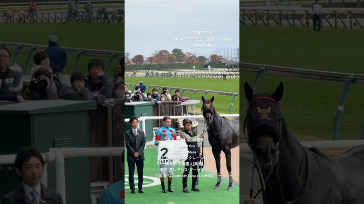 アレクシス・プーシャン騎手 6勝目 フルミネブル メイクデビュー東京 2歳新馬 ダ1600m アメリカ産馬