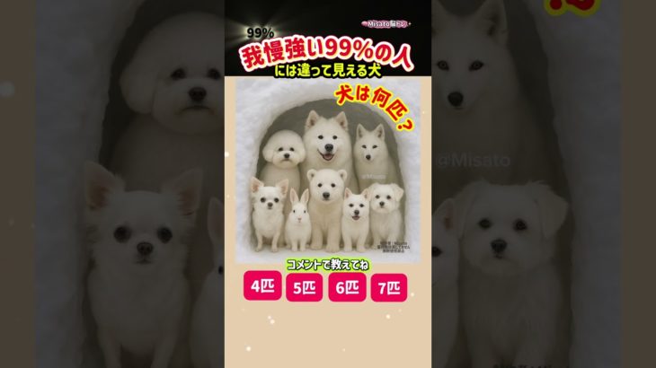 我慢強い99%の人は数え間違える犬の絵