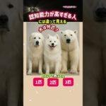 👀認知能力が高すぎる99％の人には犬が見える絵