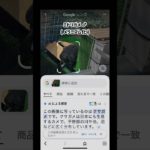 ちゃうちゃう🤣#ペット #AI#亀#君の名は#おもしろい