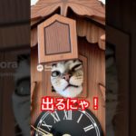 AIペット鳩時計