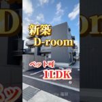新築❗️人気のD-roomのペット可1LDK😃全てが新品✨設備充実😍お問い合わせは【ＨＰ】https://fukuoka-online-fudousan.com/