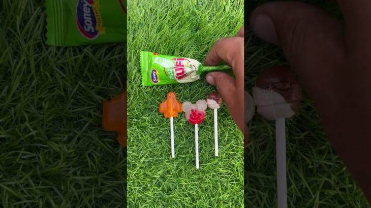 Deaf orange cat dad #comedy #cute #catlovers #cutecat #funny #pets #cat