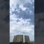 Flying Pet Performs a Whirling Flight—Mind Blown! 🌪 #CutePets #SugarGlider #FlyingSquirrel