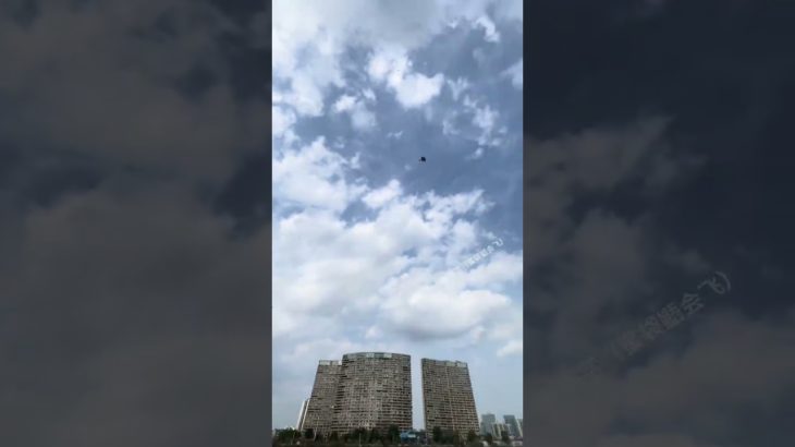 Flying Pet Performs a Whirling Flight—Mind Blown! 🌪 #CutePets #SugarGlider #FlyingSquirrel