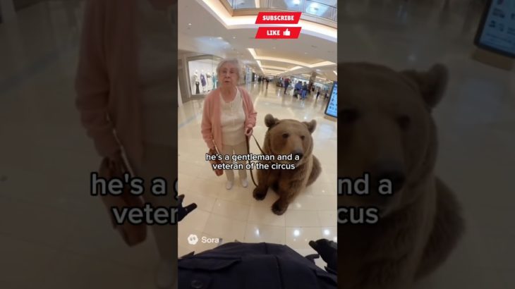 Granny Brings Her Pet Bear to the Mall – Hilarious Reaction!”