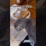 HAPAW intelligent pet water fountain #Hawpaw #petwaterfountain