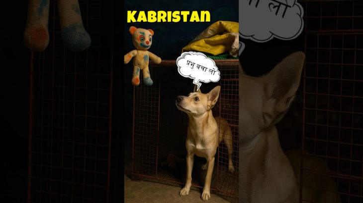 Haunted Pet House 😱 | भगवान का चमत्कार कब्र में दफना दिया Reo | #miracle #horrorshorts #petshorts