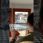 My Pet Seagull Flew Away For Another Week!