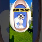 Only in Dubai: a pet grooming pod that works like magic #pets #bome #shorts