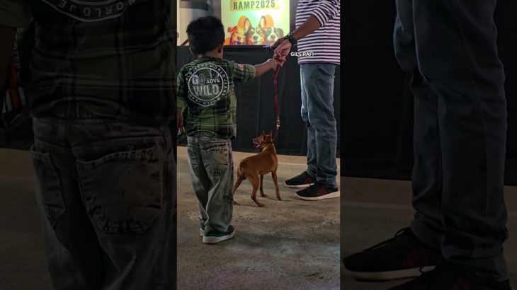 “PET FASHION #thrissur #comedy #comedyshorts #kerala #trendingshorts