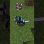 Pet Armor Trims in Minecraft!