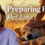 Preparing For Pet Loss Your Pets End of Life Journey Tami Hendrix