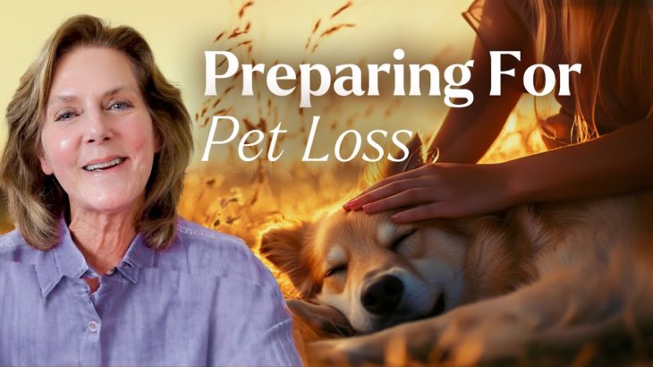 Preparing For Pet Loss Your Pets End of Life Journey Tami Hendrix
