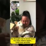 Real vs Replica: 1:1 Handmade Custom Pet Memorials (Cats & Dogs) | SoulNest