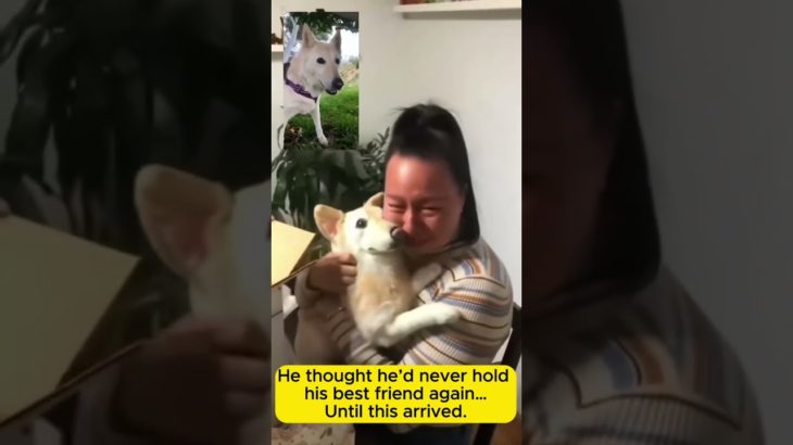 Real vs Replica: 1:1 Handmade Custom Pet Memorials (Cats & Dogs) | SoulNest