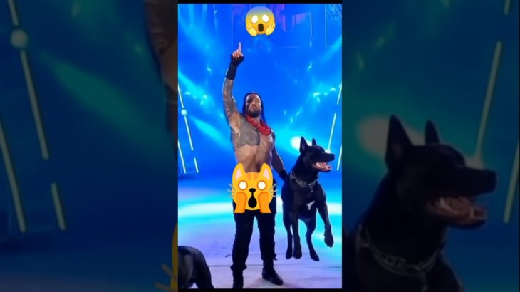Roman Reigns has a pet ( The big dog)#romanreigns #pet #thebigdog #viral