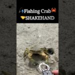 🦀カニ🤝SHAKEHAND#fishing#crab