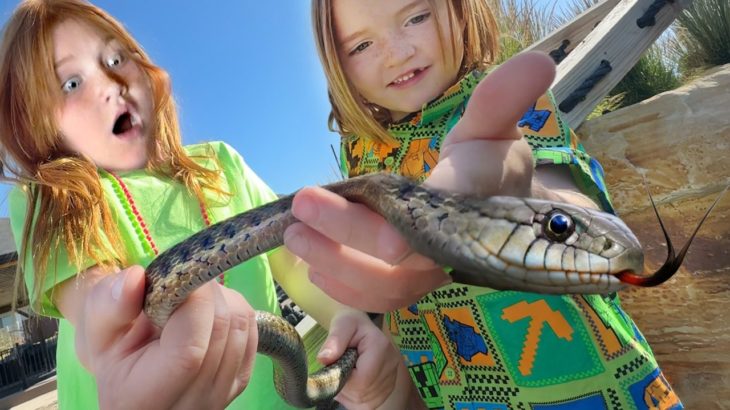 SNAKE in the HOUSE!!  a Temporary Family Pet we Learned from then Niko Released at PiRATE iSLAND