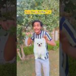 Street Dog Vs / Pet Dog 🐕😂| Indian family #shorts #indian #relatable #streetdog #comedy