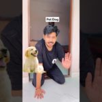Street dog v/s pet dog 🐕 😂|| #shorts #funny #indian #relatable #shortvideo