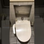 TOTO C743PVS＋ビューティトワレ