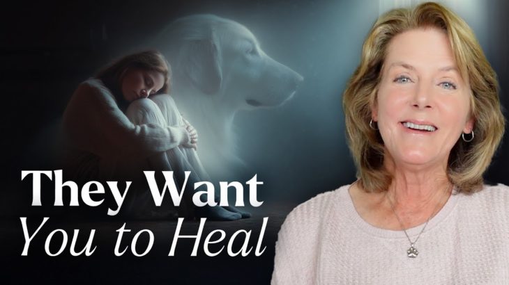Take the Steps to Move Past Pet Loss Grief & Open Your Heart! | Tami Hendrix