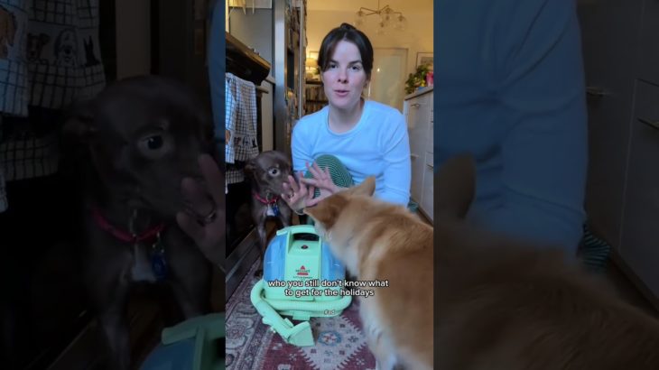 The Best Holiday Gift for Pet Parents This Year! 🎁🐾 #fosterdog #dogmom