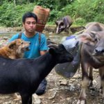 The man and his pet went to the town market to buy many things for their new home.