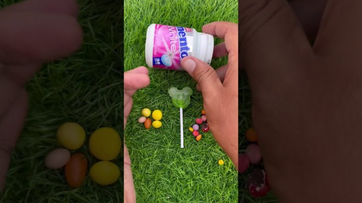 The orange kitten wants to play in the mud #comedy #cat #cute #catlovers #cutecat #pets #funny