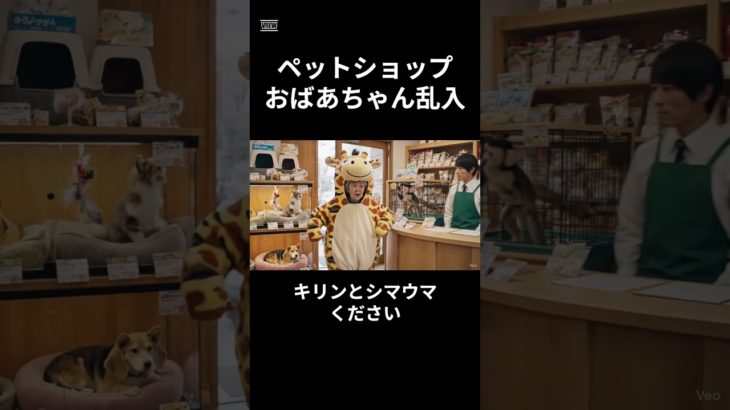 ペットショップにおばあちゃん乱入 #aiおばあちゃん
