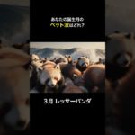 あなたの誕生月のペット波はどれ？ #bnya #ASMR #Shorts #NoTalking #satisfying