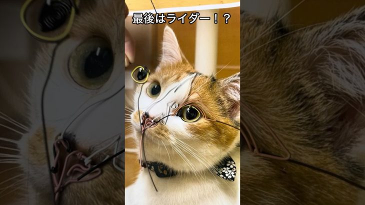 【家族の空気を変える】猫ワイヤーアートと風のキャンバス/cat wire art