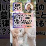 ペットを自分のお墓に埋葬すると違法？#弁護士 #法律 #ダンス #dance #lawyer #SNS