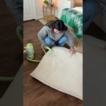 every pet owner needs this black friday steal! 💚 @bissell #LittleGreenMini #BISSELLPartner #ad