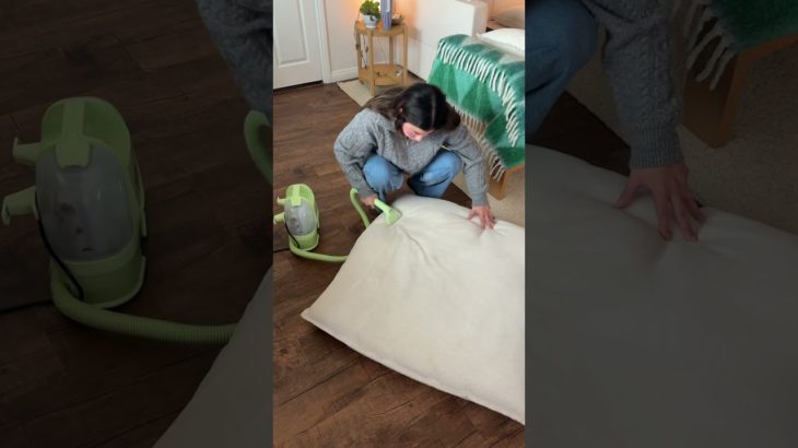 every pet owner needs this black friday steal! 💚 @bissell #LittleGreenMini #BISSELLPartner #ad