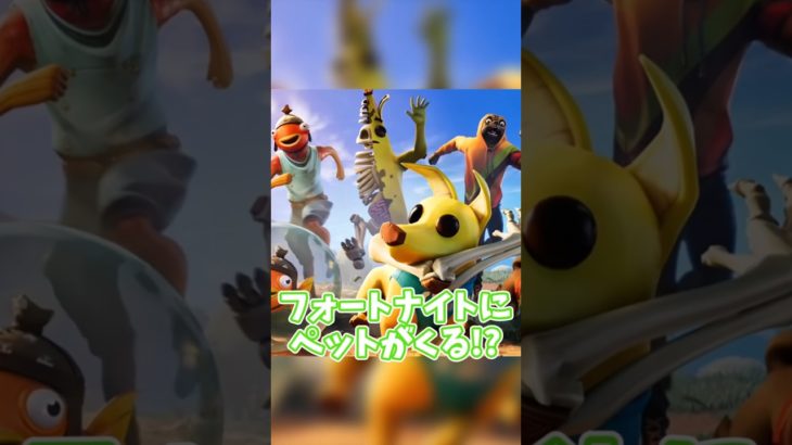 フォトナにペットが来る!?　 #fortnite #実況 #ずんだもん実況プレイ #ゲーム実況 #ブレインロッド  #shortvideo #ロブロックス #フォートナイト  #ずんだもん解説
