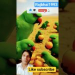 parrot | facts | birds | animals |funny parrot |funny pet |cute parrot |cute pet | parrotfood |
