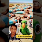 parrot |facts | birds | funny |cute parrot |cute pet |greenparrot |greenpet |parrot lover |2025-27|