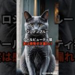 【ロシアンブルー①】クールビューティ猫、実は感情ダダ漏れ!? #shorts #動物 #雑学 #猫 #ネコ
