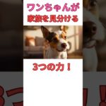 ワンちゃんが家族を見分ける３つの力🐶 #shorts #犬 #いぬ #雑学 #雑学ショート #short #shortsfeed