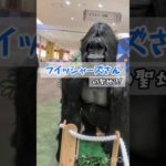 フィッシャーズさんの聖地？！亀有アリオ♡　#shorts  #フィッシャーズ　#youtubeshorts  #キャラクター 　#おもちゃ 　#クリスマス